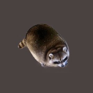 Meet your Posher, Alliya